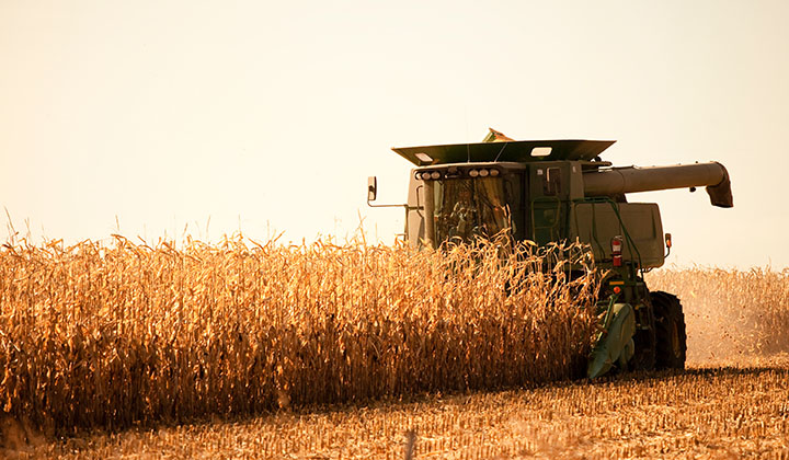 farmer in field with laptop